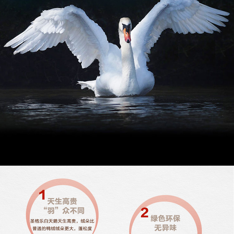 探索小巷羽絨寶藏，90白鵝絨價(jià)格與溫暖故事