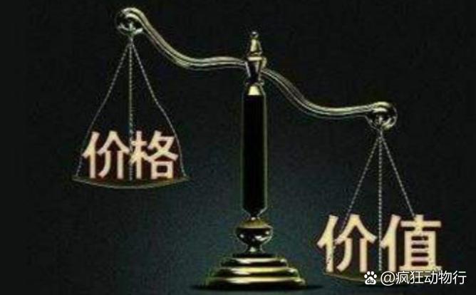 價格與價值解析，差異何在？