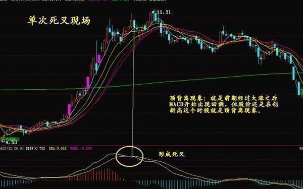 科技前沿與股票新紀(jì)元，最新高科技產(chǎn)品體驗(yàn)介紹與股票解析