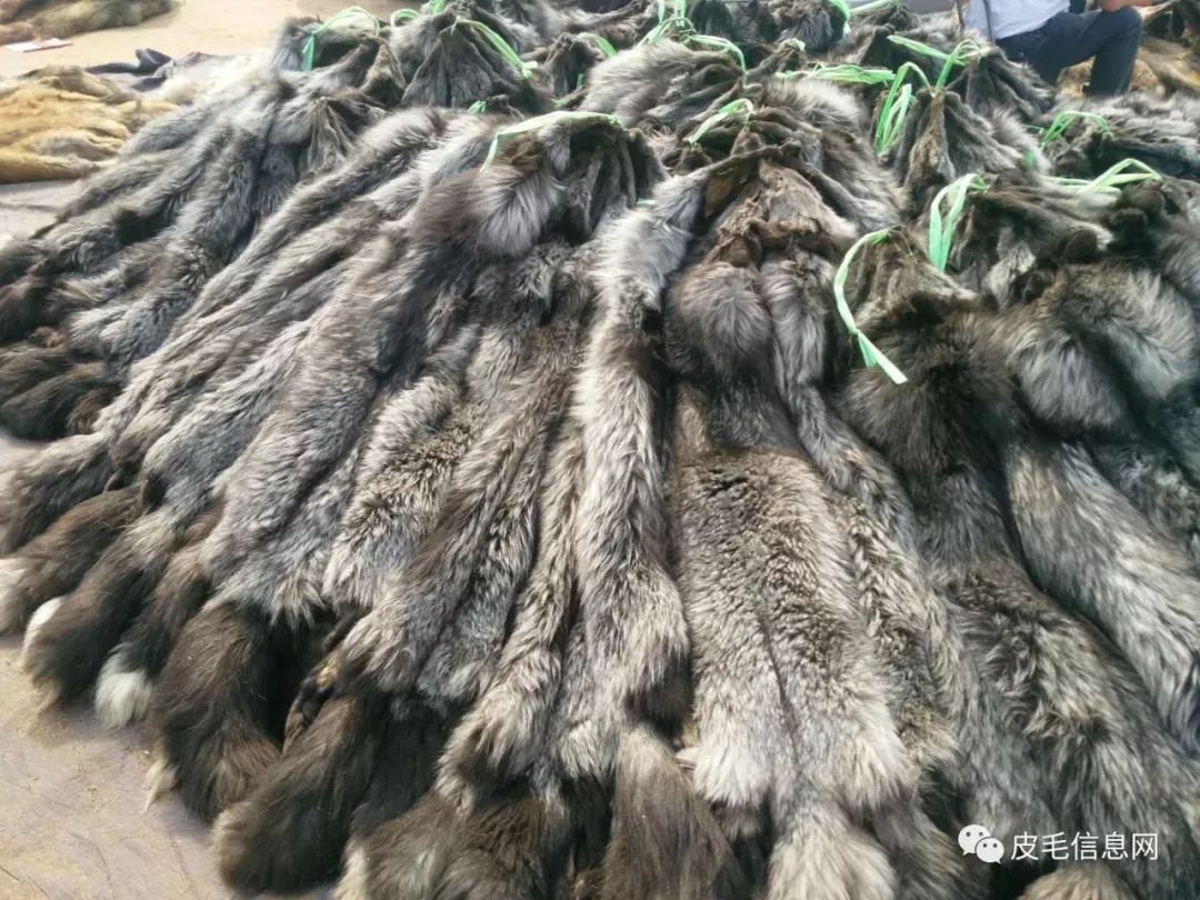 貉皮尚村最新價格，小巷中的時尚皮草寶藏探索