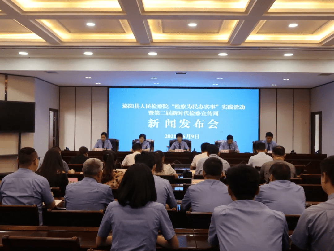 泌陽新聞最新動態(tài)，多元視角下的觀察與思考