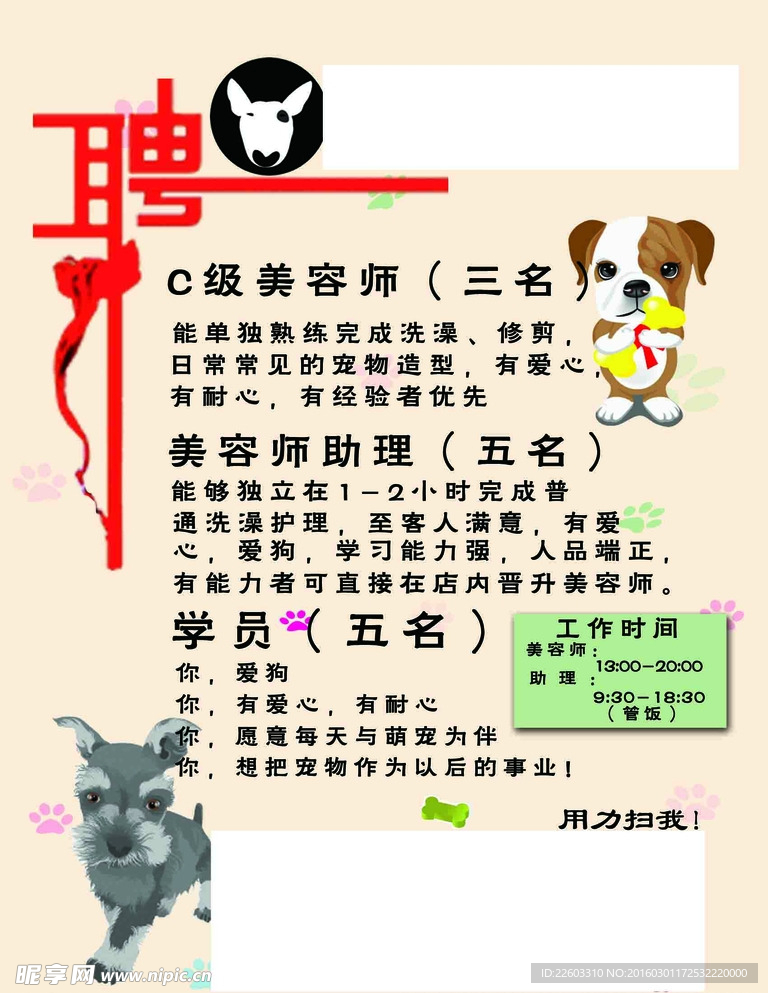 寵物店招聘最新動態(tài)，共探自然之美，尋求內(nèi)心寧靜