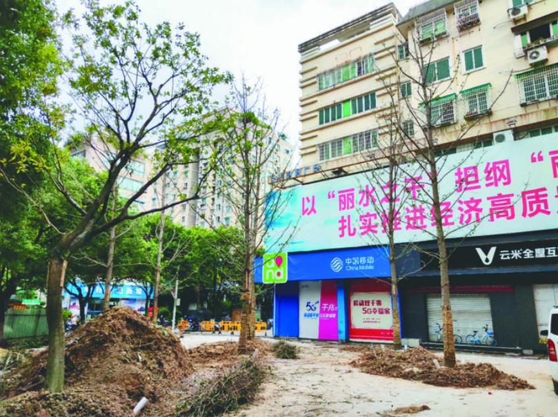 最新吊車網(wǎng)，自然美景之旅與內(nèi)心平靜的探尋