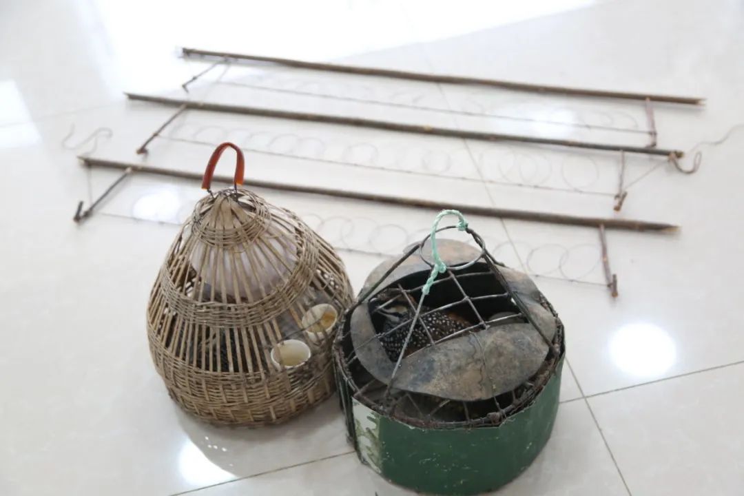 小巷中的神秘寶藏揭秘，最新捕鳥工具揭秘