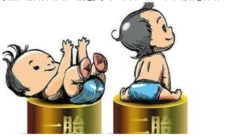 最新雙胞胎補助政策，攜手同行，助力孕育夢想之路