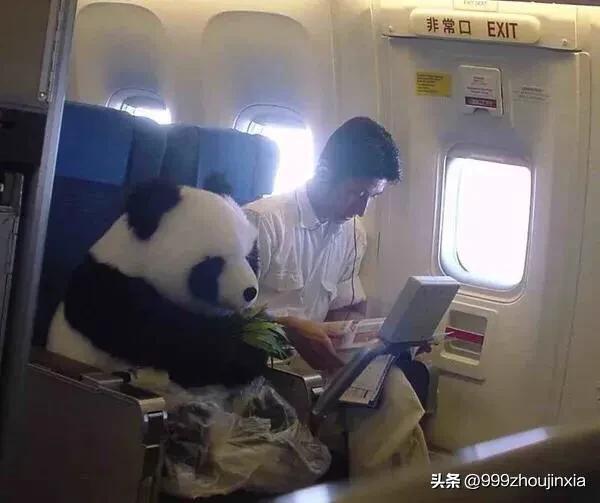 追逐變化之翼，學(xué)習(xí)鑄就自信與成就——虛幻最新探討