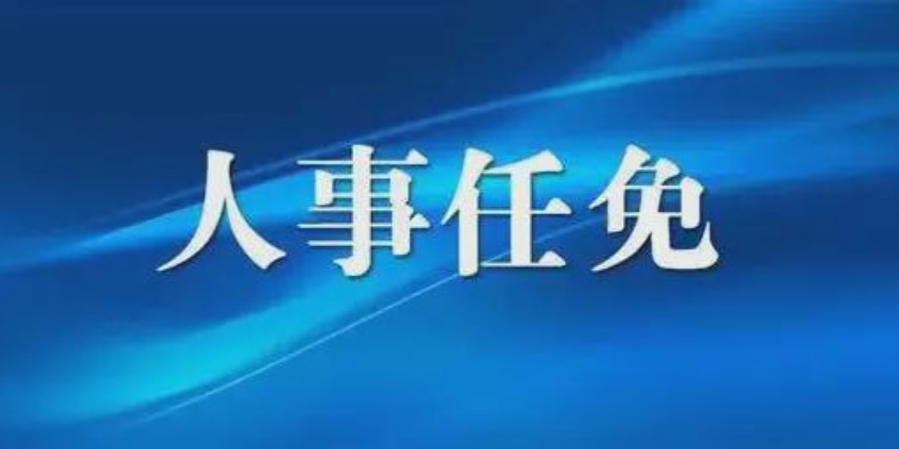 成都人事任免背后的故事，小巷獨(dú)特風(fēng)味小店與城市的脈動(dòng)