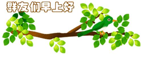 最新清晨祝福短信，晨曦中的溫暖問候，傳遞美好祝愿與關(guān)懷