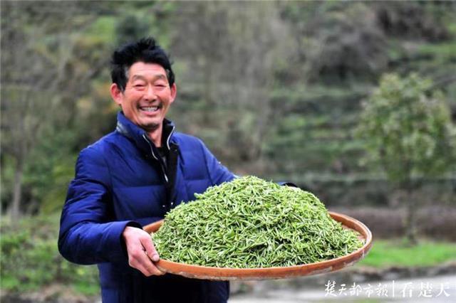 最新夷陵新聞，探索自然美景的旅程，尋覓內(nèi)心平和之地