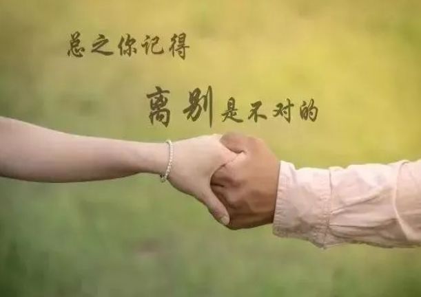 科技新品領(lǐng)略之旅，智能生活的前所未有體驗