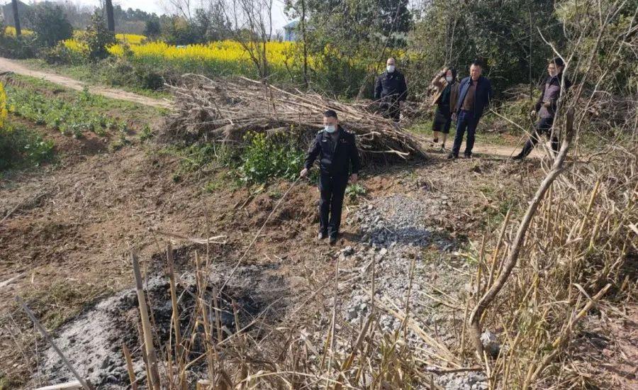 溧陽最新天氣，氣象變遷與地域影響探究