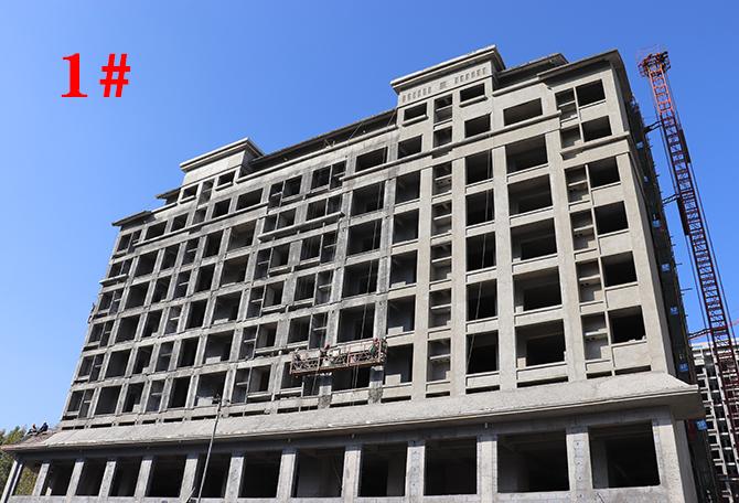平輿最新樓盤市場現(xiàn)狀與前景展望，深度解析市場趨勢與發(fā)展前景展望