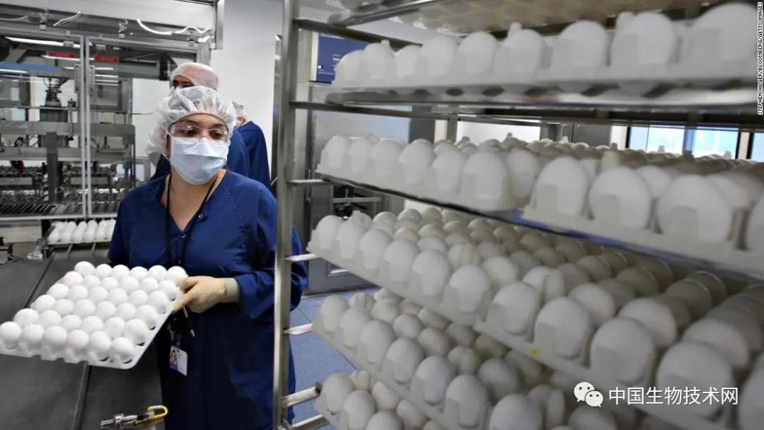 最新流感疫苗，科技助力健康新生活保護(hù)您免受流感侵襲