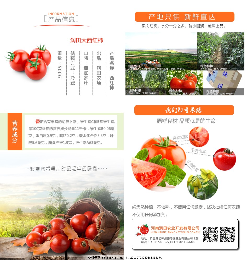 安徽西紅柿產地探秘，自然美景與鮮美西紅柿的邂逅之旅