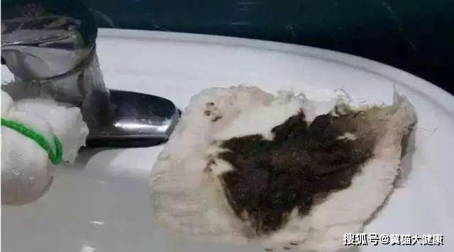 揭秘水污染真相，小杰的河流探索之旅——溫馨河流的秘密揭秘視頻