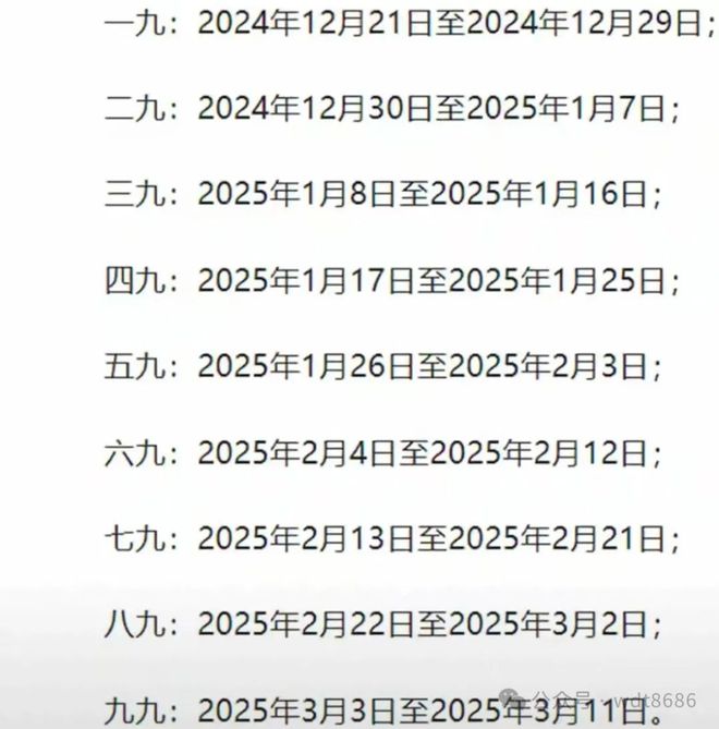 最新久久網(wǎng)2025，友情小船與溫馨日常的交織