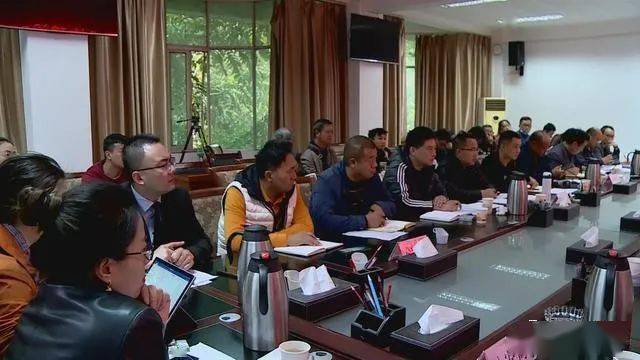 德昌最新新聞，擁抱自然，心靈寧靜之旅啟程