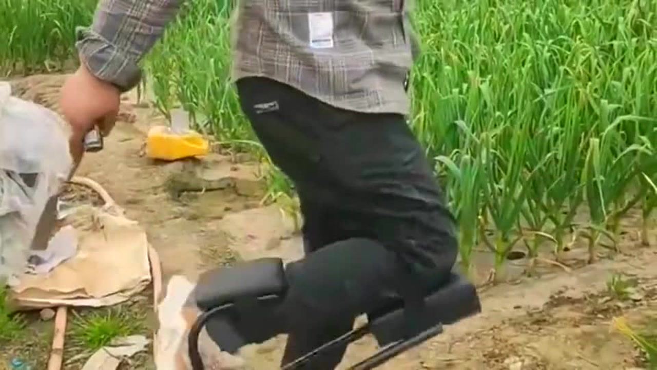 最新挖蒜工具，心靈與自然的完美交融