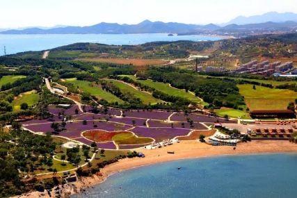 心悅海島探險攻略，最新任務(wù)指南與探險體驗(yàn)