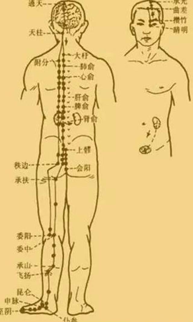 最新經(jīng)絡(luò)操，探索古老奧秘，重塑健康身姿