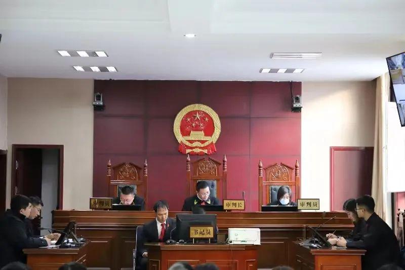 偏關(guān)最新案件深度解析，揭示真相，關(guān)注社會(huì)公正與公平