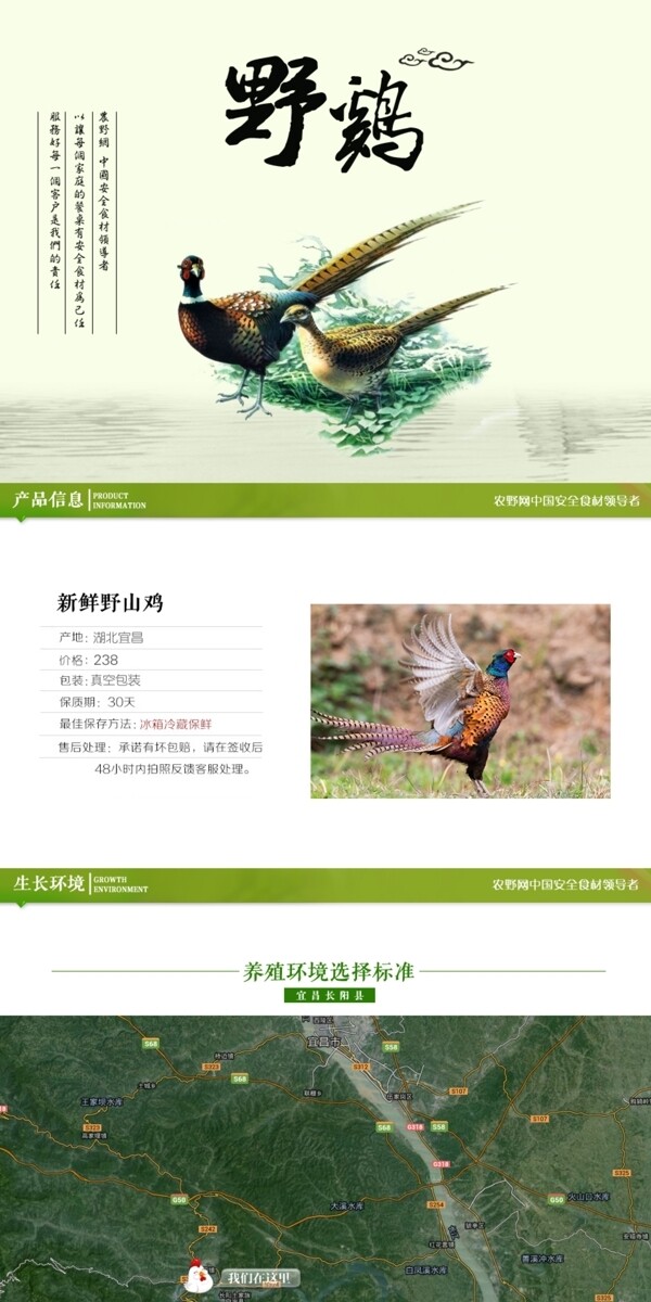 深度剖析，最新山雞的背景、事件與地位概述