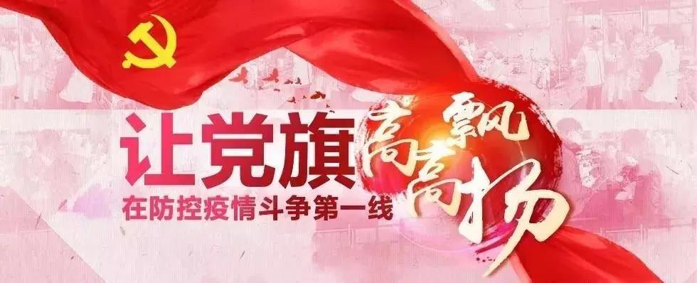 全球抗擊新冠疫情最新進展與案例分析，最新疫情快訊綜述
