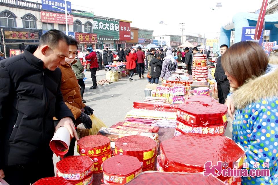 淘元素最新，淘淘的奇妙冒險(xiǎn)之旅與友情的溫暖體驗(yàn)