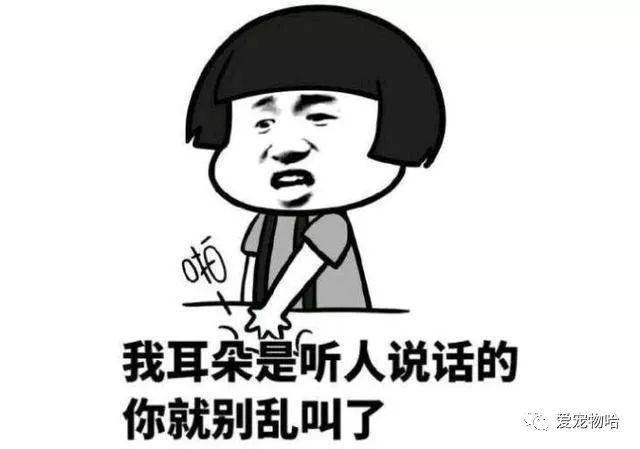 最新枕邊笑話，科技小寶貝，生活添樂趣