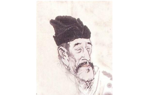 最新孤雁圖片，展現(xiàn)自然之美與深意的瞬間