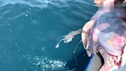 最新魚人流技術革命，高科技產(chǎn)品重塑未來生活體驗