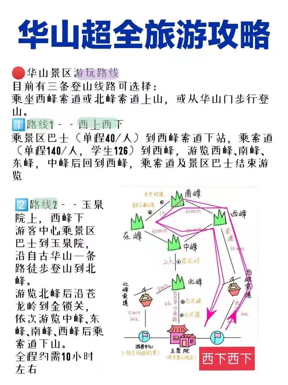 華山旅游最新探秘，小巷中的獨特風味之旅