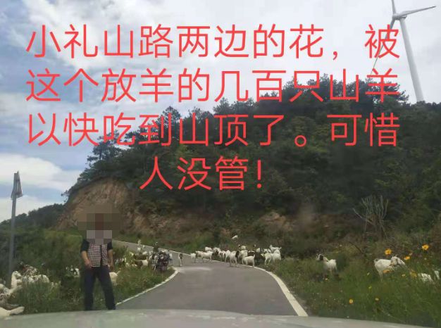 大悟最新路，探索未知，自信成就夢想之旅的啟程