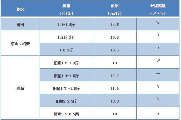 探索海鮮市場秘密，最新鱸魚價格一覽