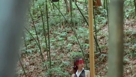 LED光源 第65頁