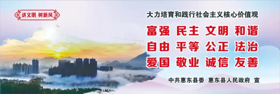 惠州肺炎最新動態(tài)，小巷深處的獨特小店背后的故事