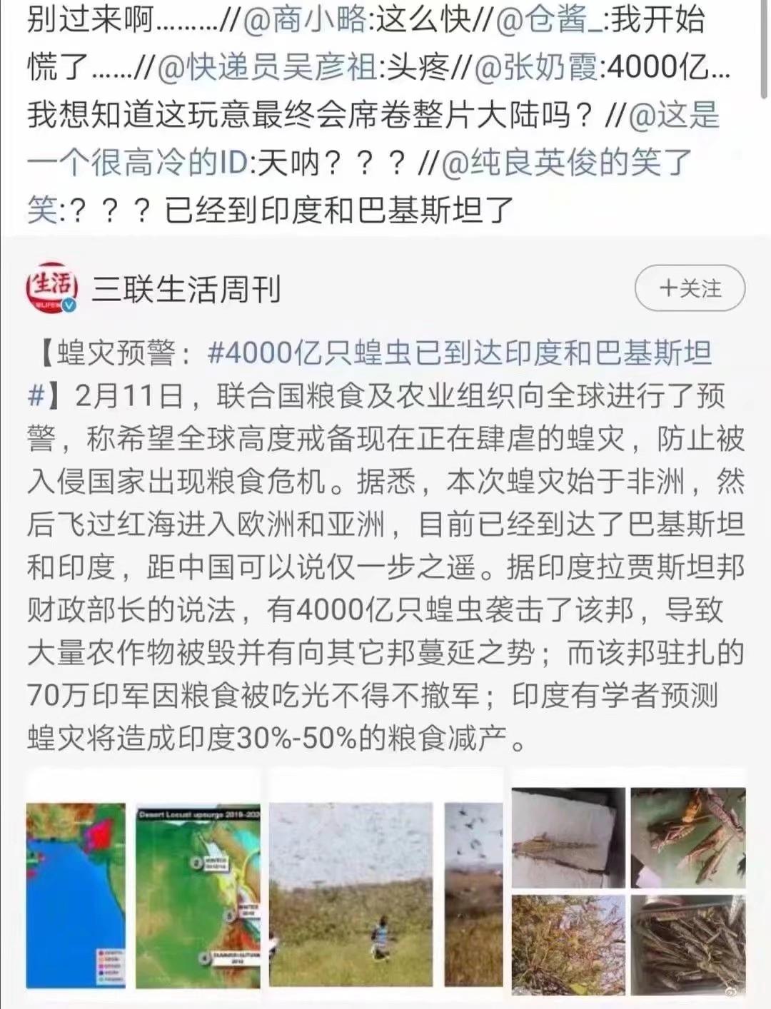 蝗蟲最新動(dòng)態(tài)，防治與監(jiān)測的全面指南