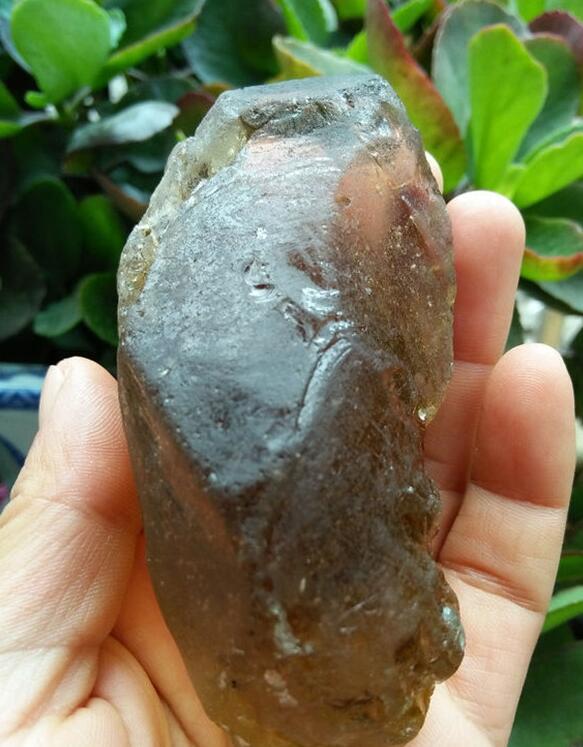 最新鑒定法，揭示友情的印記與家的溫馨