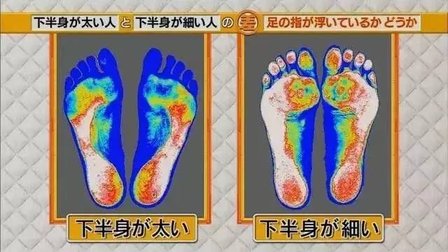 最新地趾論述，探索、爭議與觀點(diǎn)綜述