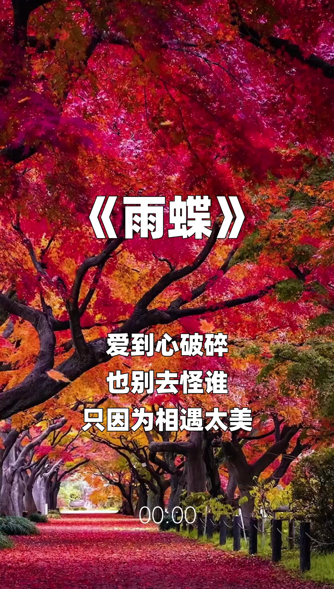 雨蝶最新步驟指南，如何完成任務(wù)或?qū)W習(xí)技能？
