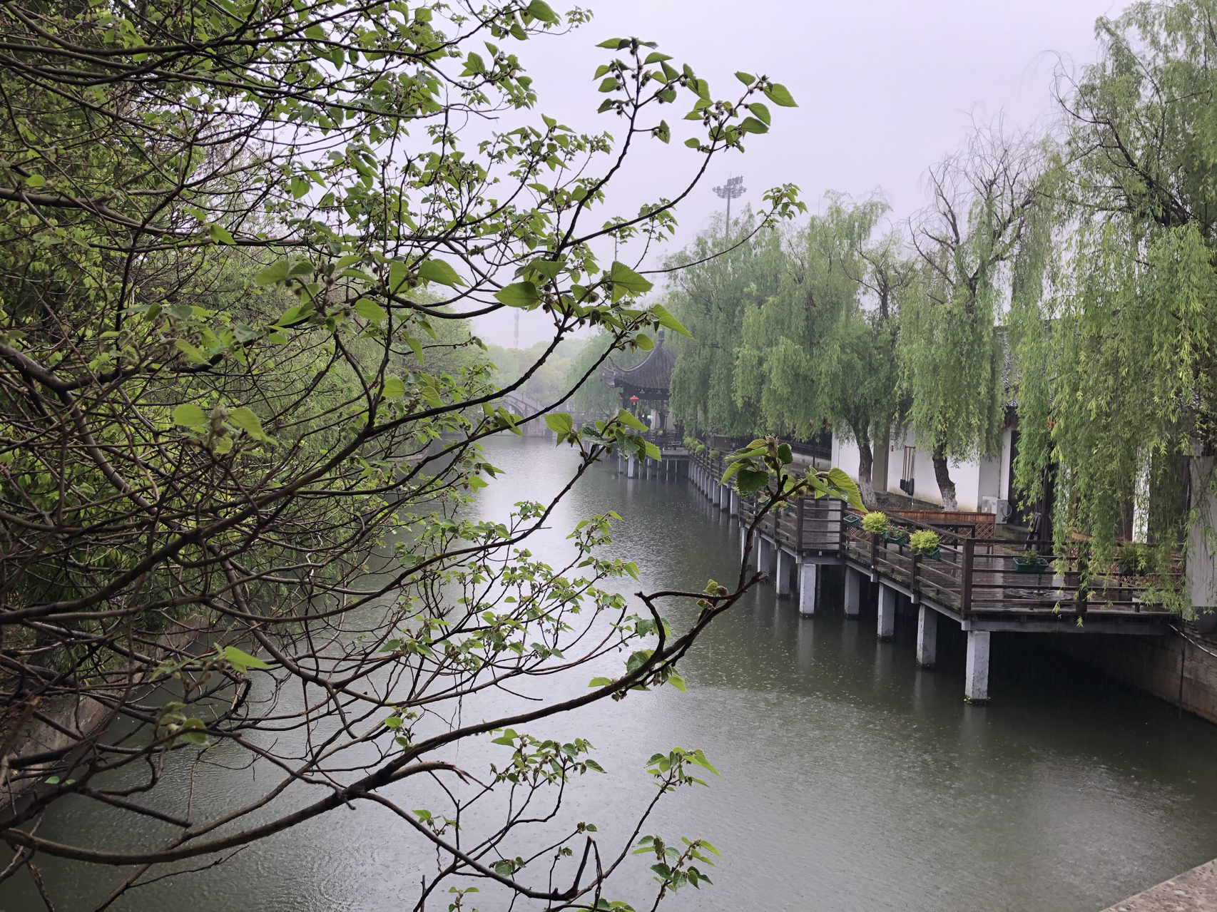 江南煙雨最新，自信與成就感的成長(zhǎng)之旅