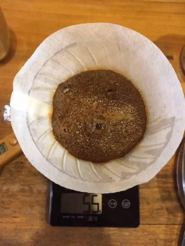 最新萃取法詳解，步驟指南與操作技巧