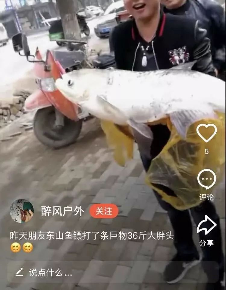射魚神器進化升級，學習變革與自信成就之源