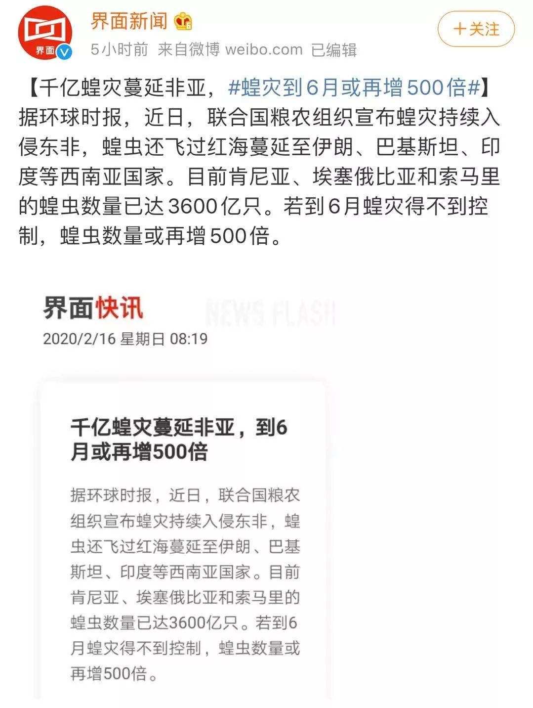 世界蝗災(zāi)最新動態(tài)，探索自然美景的輕松之旅