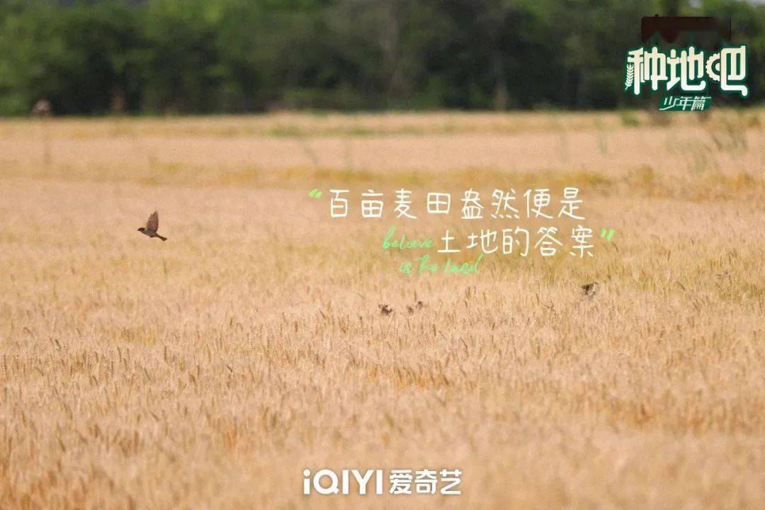 種地吧最新語錄，探索未來農(nóng)業(yè)的高科技魅力