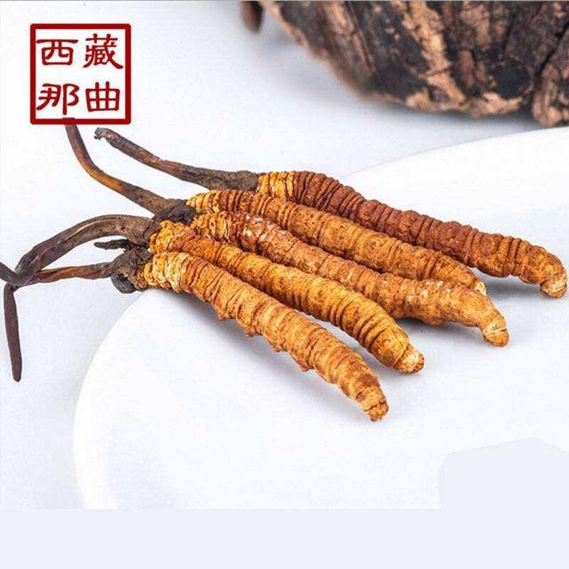 揭秘2025年蟲草最新價格，探尋小巷中的秘密行情！