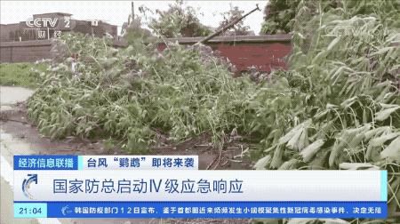 超強(qiáng)臺風(fēng)鸚鵡來襲，最新路徑動態(tài)全解析???