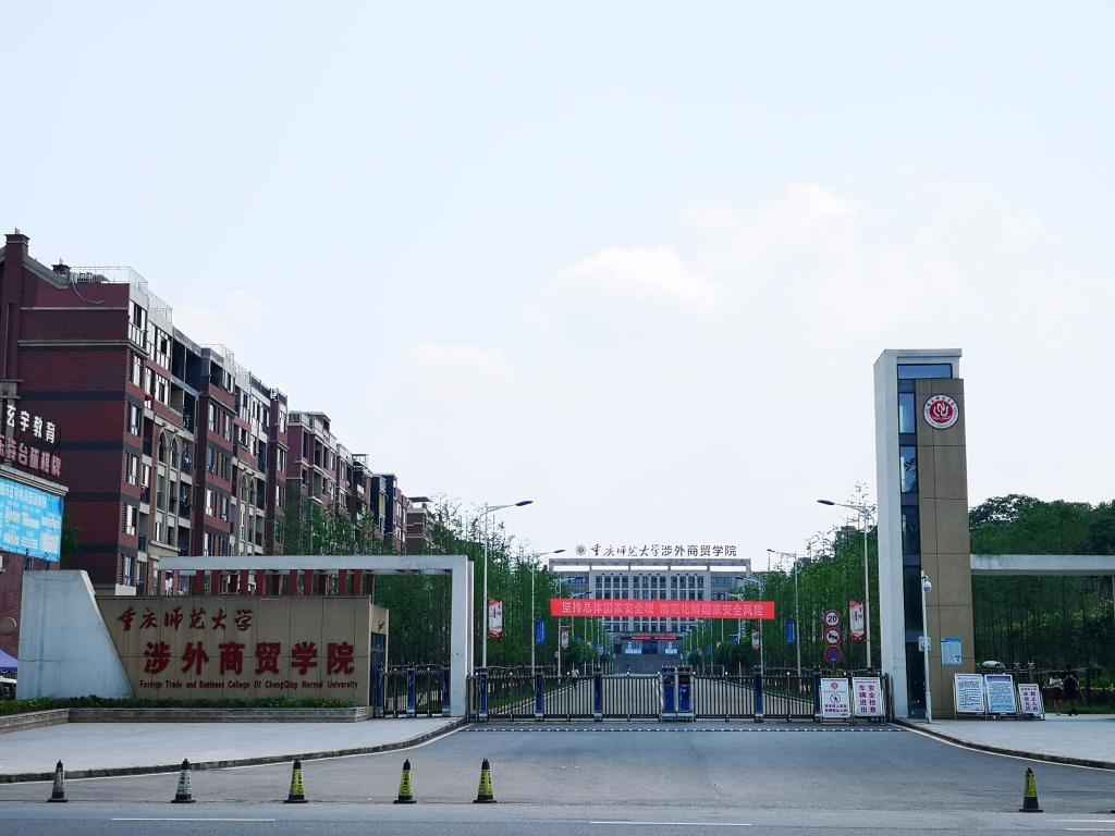 最新本科專業(yè)探秘，小巷中的隱藏寶藏之門(mén)