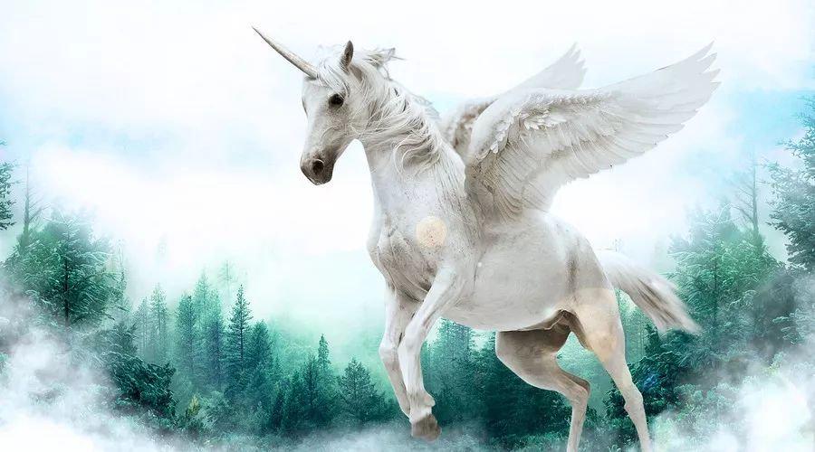 中國最新獨(dú)角獸，自信與成就感的源泉